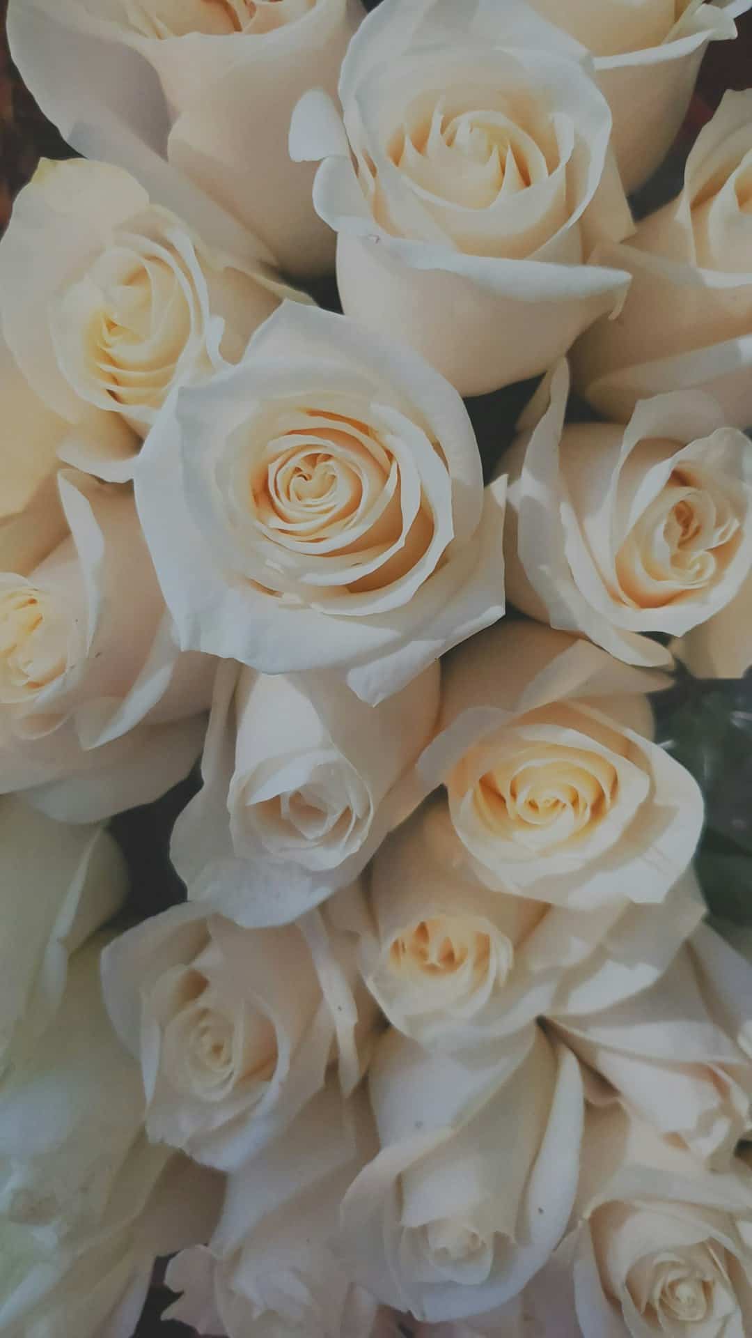 Blumen